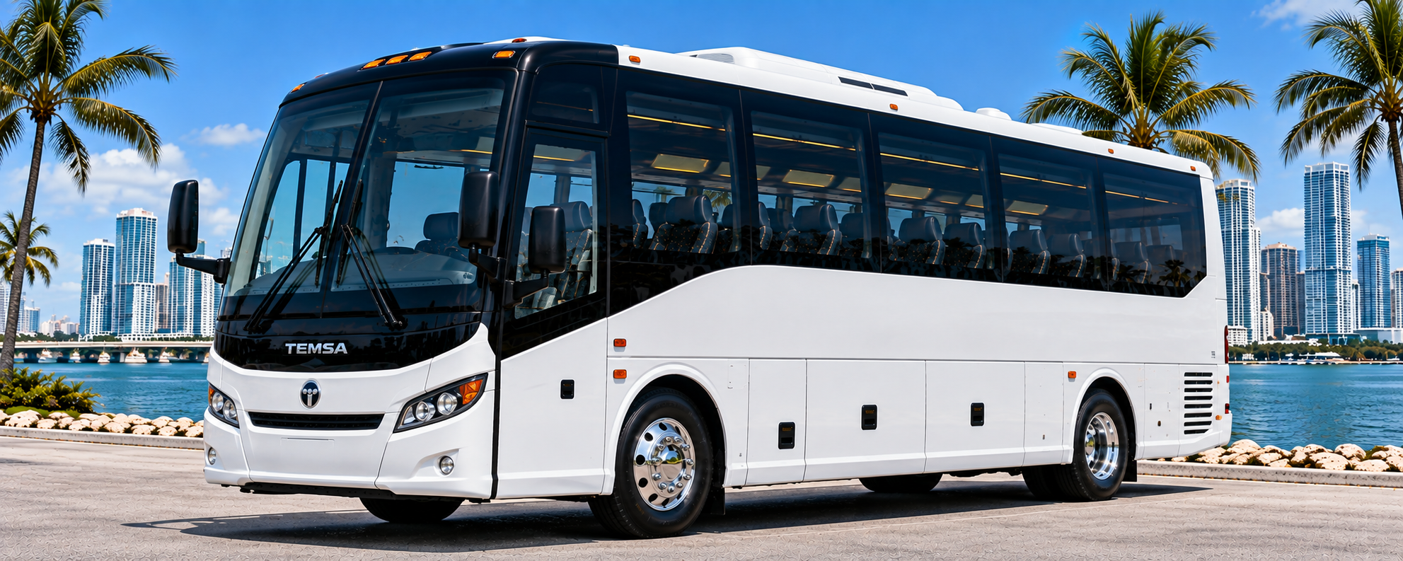 BlackRide 30 Passenger Mini Bus